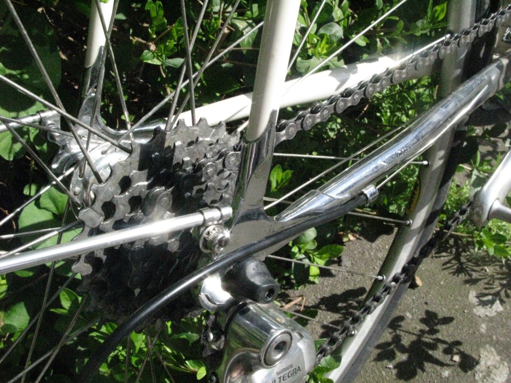 Osprey dropout at Sideways Cycles