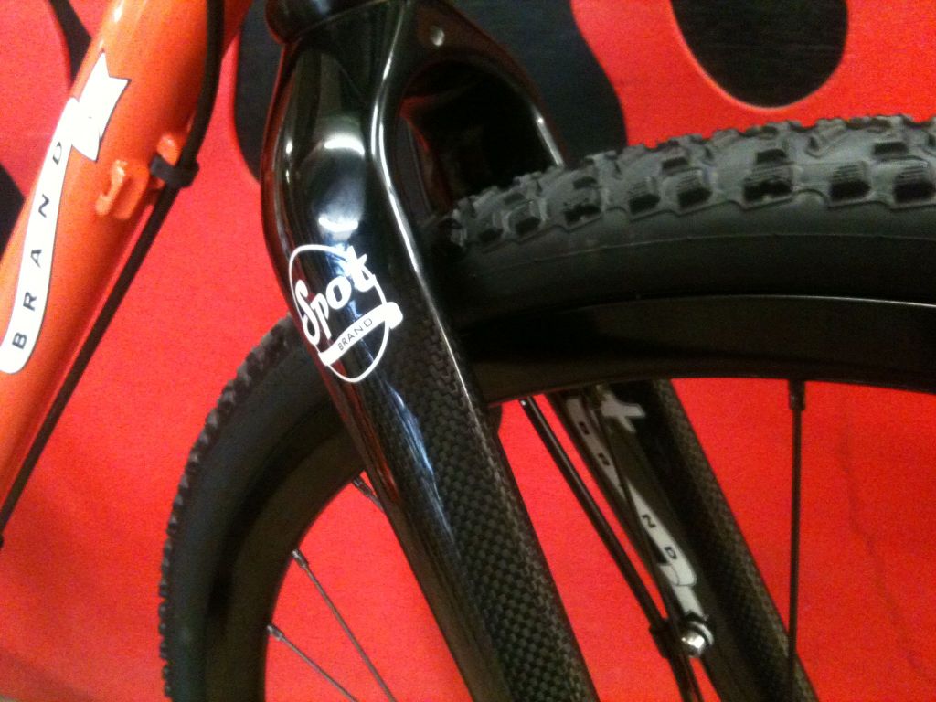 Carbon disc fork